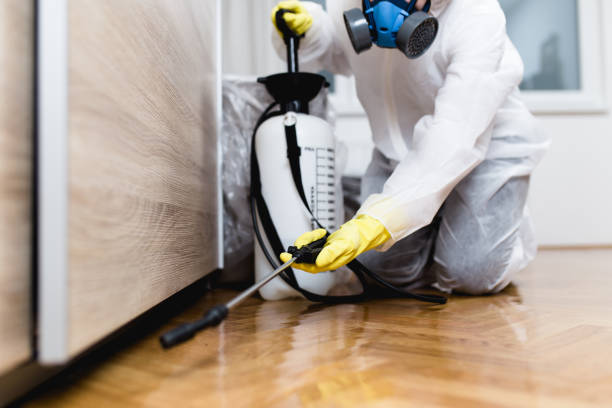 Best Residential Pest Control  in Wellington, FL