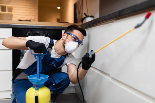 Best Pest Control for Homes  in Wellington, FL