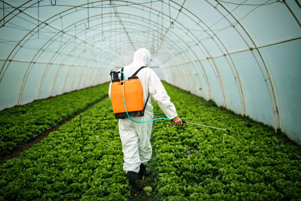 Best Local Pest Control Services  in Wellington, FL