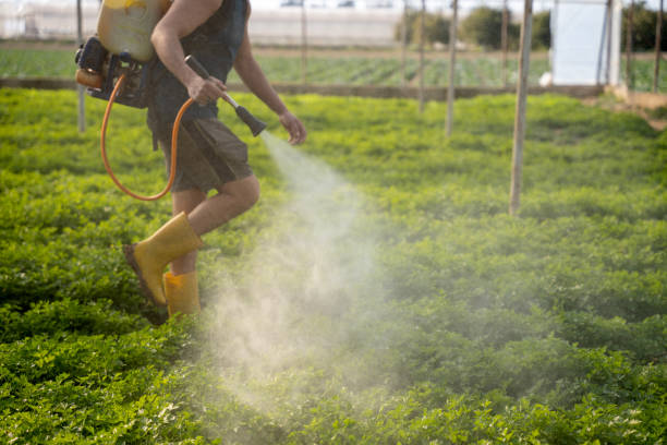 Best Exterminator Services  in Wellington, FL
