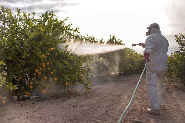 Best Best Pest Control Companies  in Wellington, FL