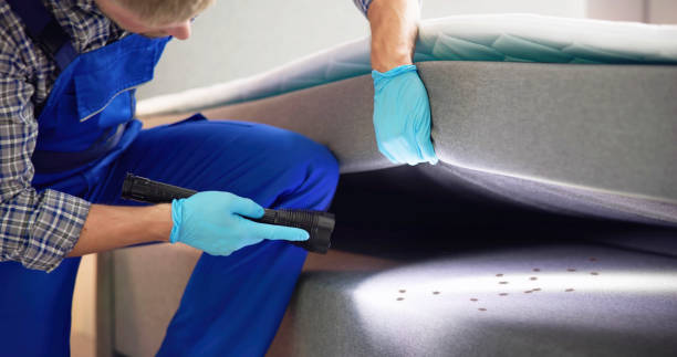 Best Pest Control Near Me  in Wellington, FL
