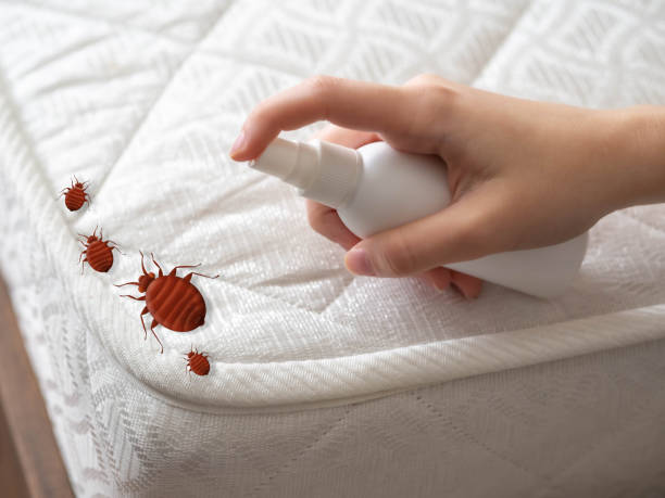 Best Commercial Pest Control Services  in Wellington, FL