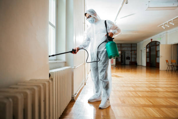 Best Wasp Removal Services  in Wellington, FL