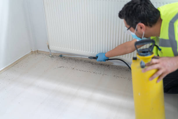 Pest Control Cost in Wellington, FL
