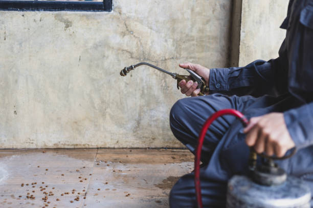 Best Pest Inspection Near Me  in Wellington, FL